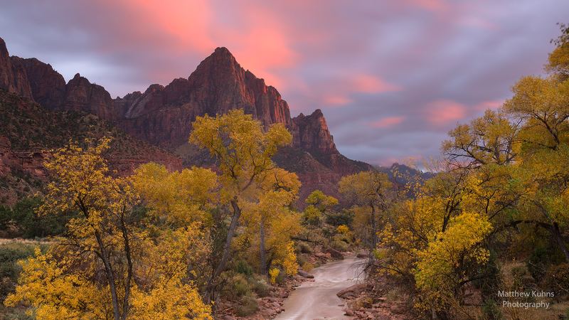 Breathless   Zion