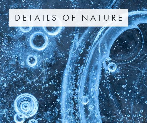Details Of Nature