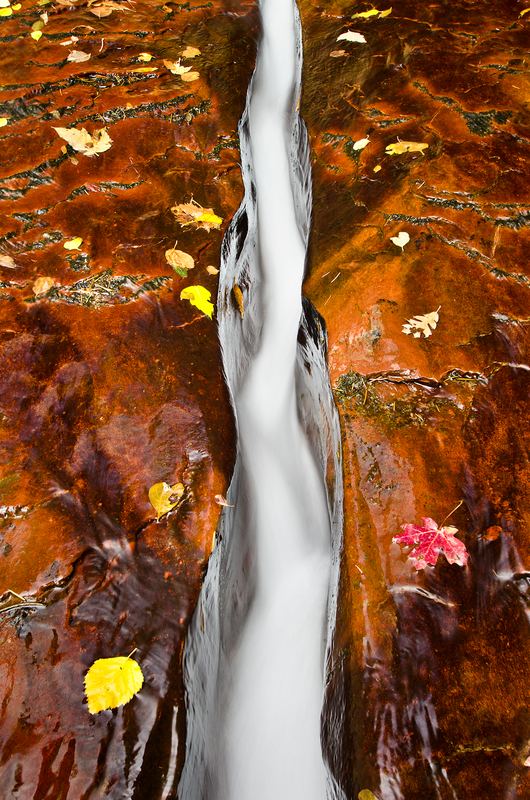 Zion Fault Line