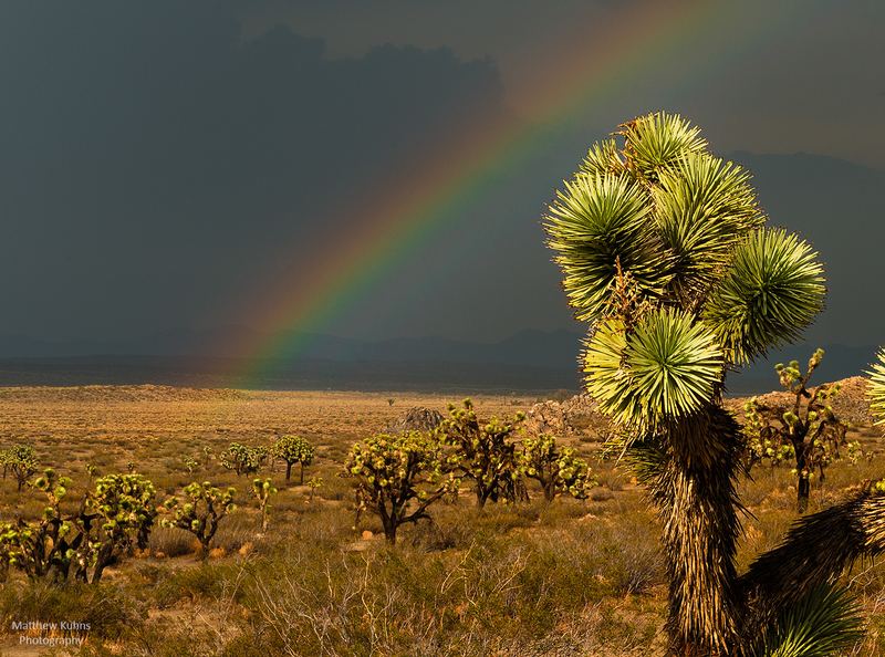 End of the Rainbow